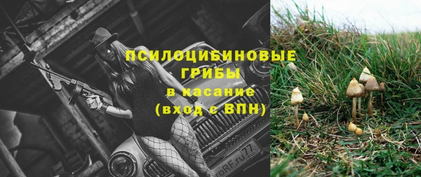 Альфа ПВП Липки