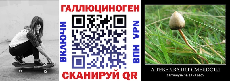Галлюциногенные грибы мицелий  Малаховка 